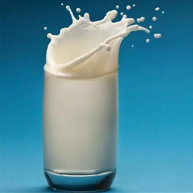 卫岗鲜牛奶1.5升